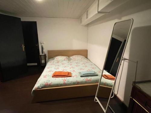 吕特里La maison du lac的一间小卧室,配有一张带镜子的床