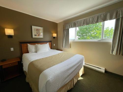 纳奈莫外交汽车旅馆的一间卧室设有一张大床和一个窗户。