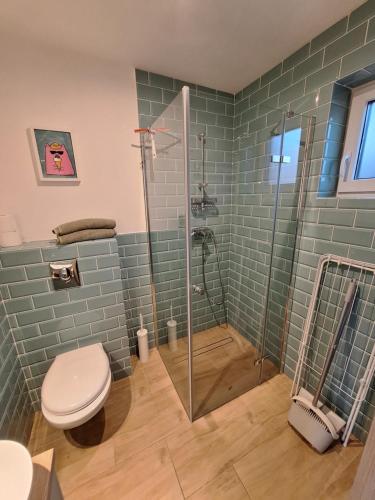 加茨比亚格拉Domki całoroczne Morzemoze的一间带卫生间和玻璃淋浴间的浴室
