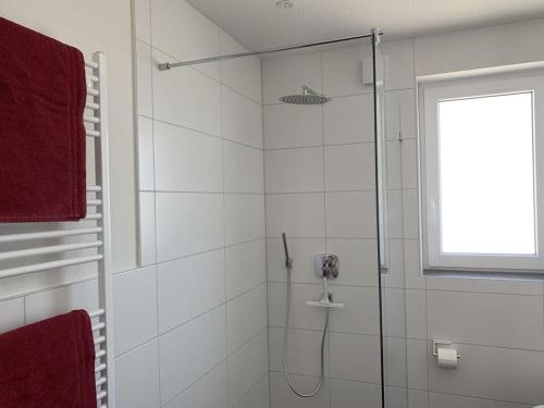 腓特烈港Holiday apartment Hildebrand Lake Constance的带淋浴的浴室和玻璃门