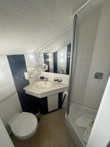 上施陶芬Landhotel Alte Post的浴室配有卫生间、盥洗盆和淋浴。
