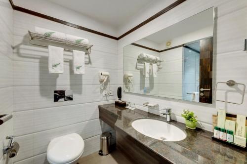 新德里Hotel Atlantis suites Near Delhi Airport的一间带水槽、卫生间和镜子的浴室