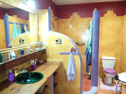 FasniaA peaceful country house in Tenerife的一间带水槽、卫生间和镜子的浴室