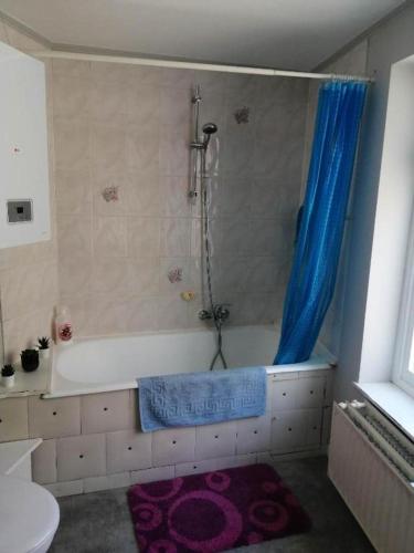 赫拉尔兹贝亨Simpele slaapkamer Geraardsbergen的浴室配有浴缸和淋浴,配有蓝色窗帘