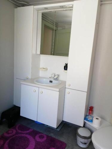 赫拉尔兹贝亨Eenvoudige slaapkamer Geraardsbergen的一间带水槽、镜子和卫生间的浴室