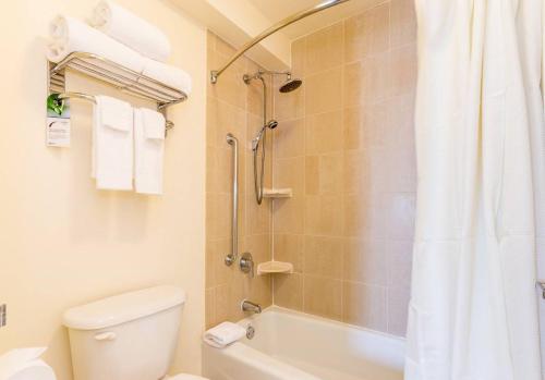 纽约Lovely 1 BR Apartment in Manhattan的带淋浴、卫生间和盥洗盆的浴室
