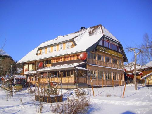 黑林山区贝尔瑙Beautiful apartment in a Black Forest house with conservatory的一座带雪盖屋顶的大型木屋