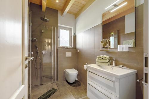 LeiselWaldwasserhaus Leisel的浴室配有卫生间、淋浴和盥洗盆。