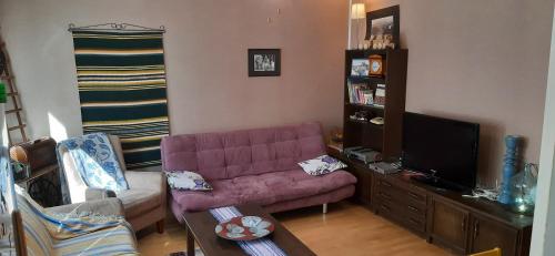 瓦萨Furnished 2 room appartment in Vasa的客厅配有粉红色的沙发和电视