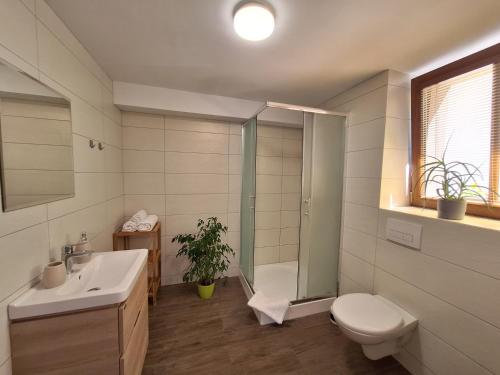 尼萨河畔亚布洛内茨Apartmány Paseky - Jablonec nad Nisou的浴室配有卫生间、盥洗盆和淋浴。
