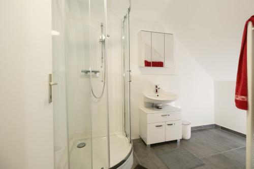 BarnbachBÄRNAppartements 2的带淋浴和盥洗盆的白色浴室