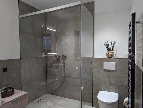 维尔德科格尔山麓布兰贝格Apartment Talblick的浴室设有玻璃淋浴间和卫生间