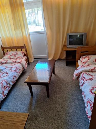新瓦罗什Jezero的客房设有两张床、一台电视和一张桌子。
