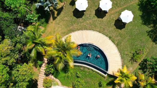 AmbatobeMiavaka Lodge的棕榈树公园游泳池的顶部景色
