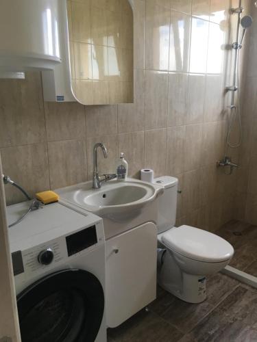 普罗夫迪夫Апартамент 170 кв.м за 6-ма, село Ягодово, Пловдивско的浴室配有卫生间、盥洗盆和洗衣机。
