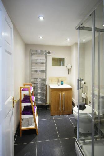 博克斯The Lodge Quaint Georgian Apartment, Wifi and Parking, near Bath的一间带卫生间和水槽的浴室