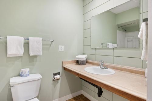 坎贝尔河Big Rock Motel的一间带卫生间、水槽和镜子的浴室