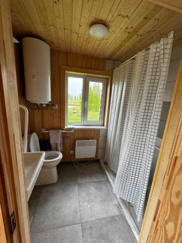 Vasaras mājiņa D1的一间带卫生间、水槽和窗户的浴室