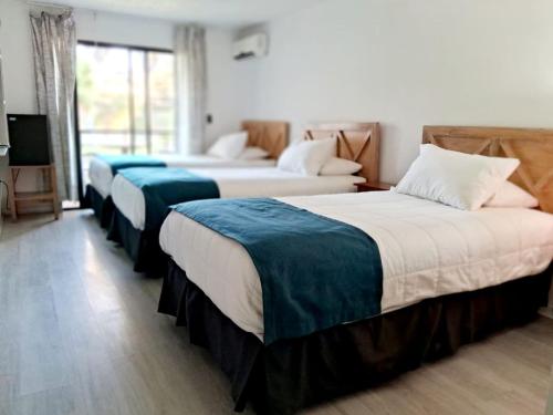 拉塞雷纳Hotel Palmas de La Serena的酒店客房设有三张床和电视。