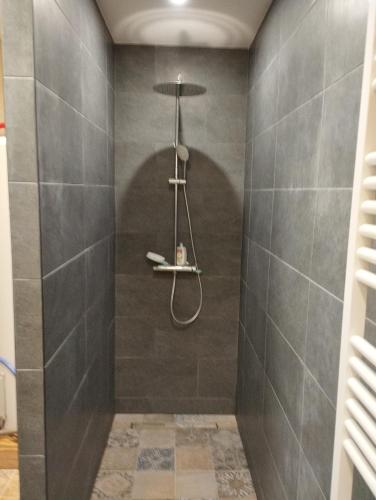OsnyHousse Chaleureuse et Confortable的浴室设有灰色瓷砖淋浴。