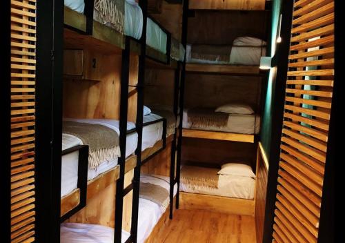 墨西哥城Mexico Hostel的一间客房内的四张双层床