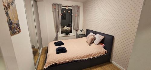 奥普尔Apartamenty Natura的小卧室配有带枕头的床