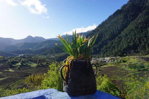 IzilaneGîte de montagne Azilane的坐在山顶上的一个袋子里的植物