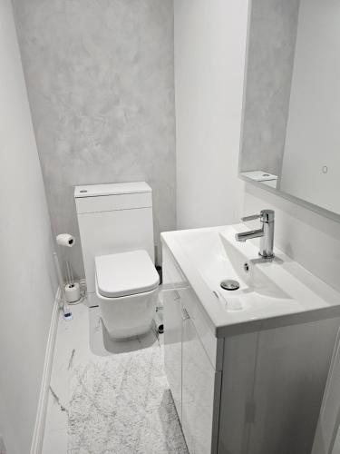 格拉斯哥Lovely house with private parking! Glasgow!的白色的浴室设有卫生间和水槽。