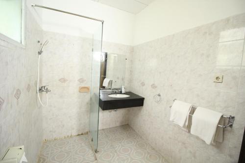 安耶尔阿利萨度假酒店的一间带玻璃淋浴和水槽的浴室