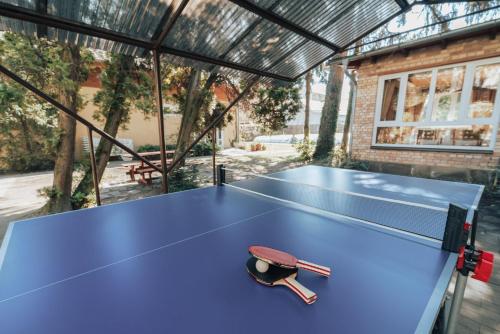 巴拉顿城堡多罗缇亚别墅酒店的一张乒乓球桌,上面有乒乓球台