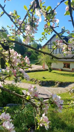 图库姆斯Vāgnera parks的房子前有粉红色花的树