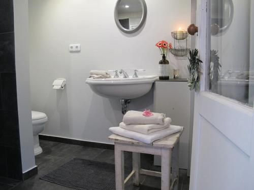 Hollerbusch的白色的浴室设有水槽和卫生间。