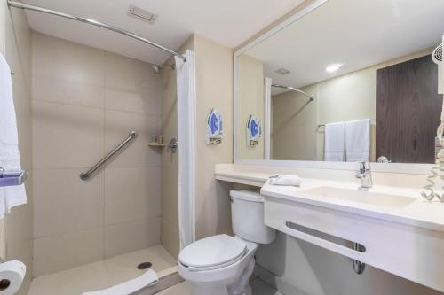 Apizaco阿皮萨科城市快捷酒店的浴室配有卫生间、盥洗盆和淋浴。