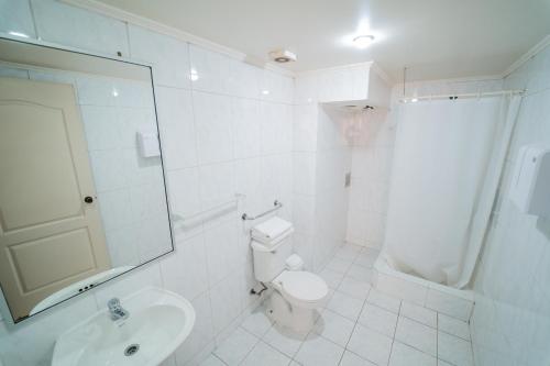康塞普西翁Hotel Vitali的白色的浴室设有卫生间和水槽。