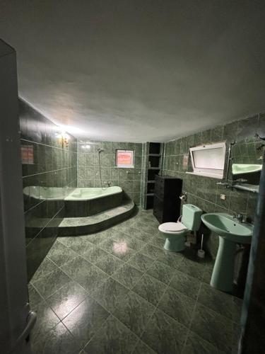 皮特什蒂Casa Anisia by Hypnotic的带浴缸、卫生间和盥洗盆的浴室