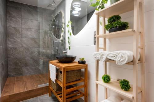 克塞洛Picnic Lux 2plus2 Centrum的带淋浴的浴室以及种植了植物的木架