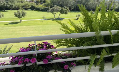 马贝拉Duplex vistas al golf Guadalmina Marbella的阳台种有鲜花,绿地苍翠