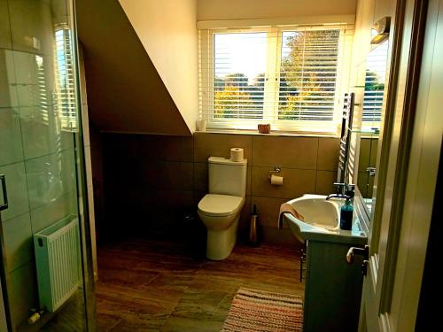 纳文White Quarry Hse Quarry Road的一间带卫生间、水槽和窗户的浴室