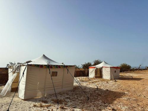 Kafr Abu HabhabCaves Camp Matrouh的沙漠地带的一排帐篷
