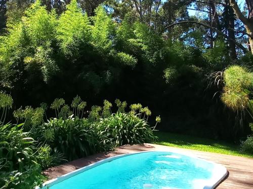马德普拉塔Casa Bendita Pacha的花园内的游泳池
