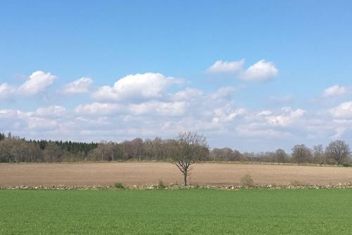 Skåne-TranåsCharming cottage in a beautiful landscape的田野中间有树的田野