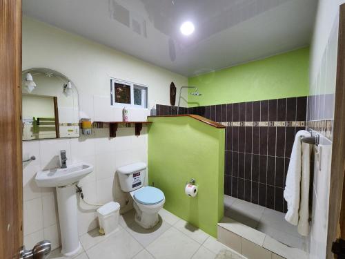 蓬塔露奇亚罗莎别墅的浴室设有白色卫生间和绿色墙壁。