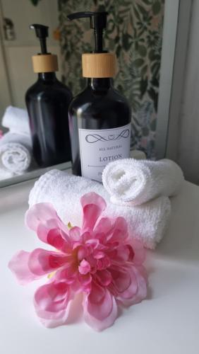 凯恩斯JDs Tropical stays的浴室柜台上放有一瓶肥皂和一朵粉红色的花