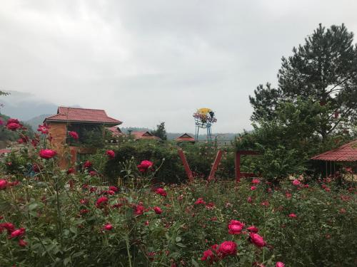 萨帕Sau Meo Mountain View的一座种有粉红色花卉和围栏的花园