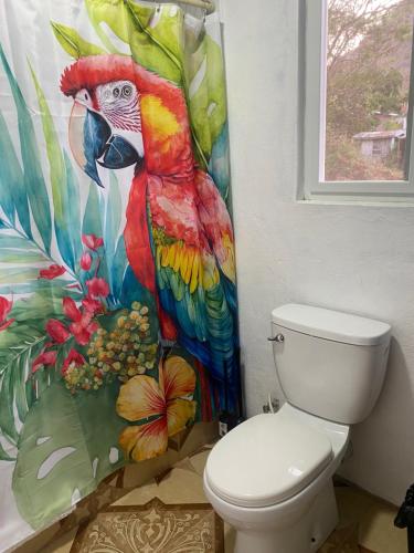 Union IslandCool Breeze Suites的浴室设有鹦鹉淋浴帘和卫生间