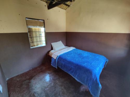 利文斯顿Simoonga Thandizani School的一间卧室配有一张带蓝色毯子的床和窗户。