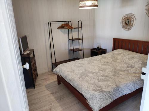 滨海卡约La cabine en Baie de Somme的一间卧室配有一张床、一台电视和书架