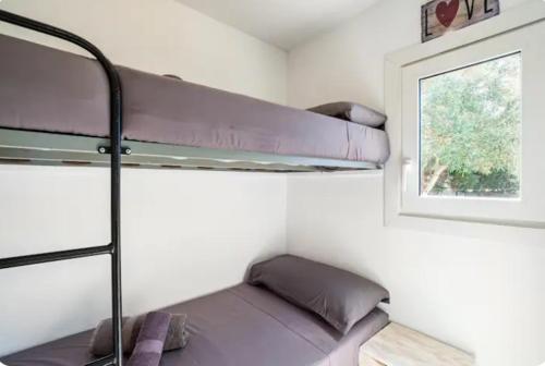 博罗尼亚Apartamento en Bolonia的客房设有两张双层床和一扇窗户。