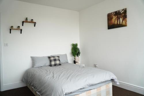 布赖尔利希尔2 Bedroom Apartment Brierley Hill的一间白色的卧室,配有床和盆栽植物