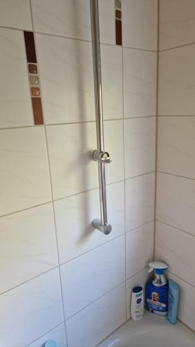 施瓦格明德Rooms & Apartments Schwäbisch Gmünd的一个带盥洗盆的浴室内的淋浴间